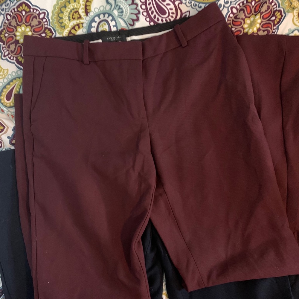 Ann Taylor Madison Flare Trousers